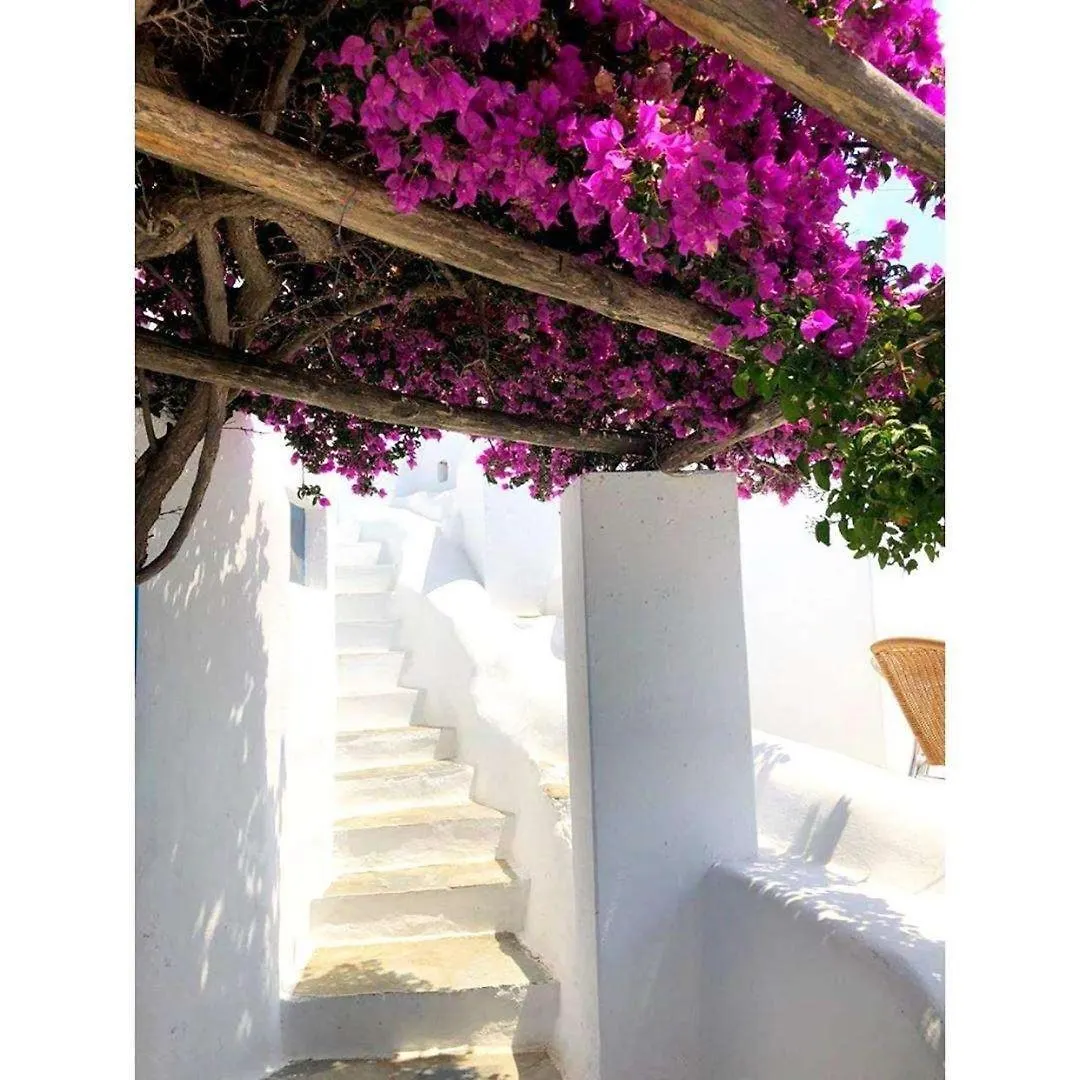 ***  Hotel Madalena Mykonos Town Ελλάδα